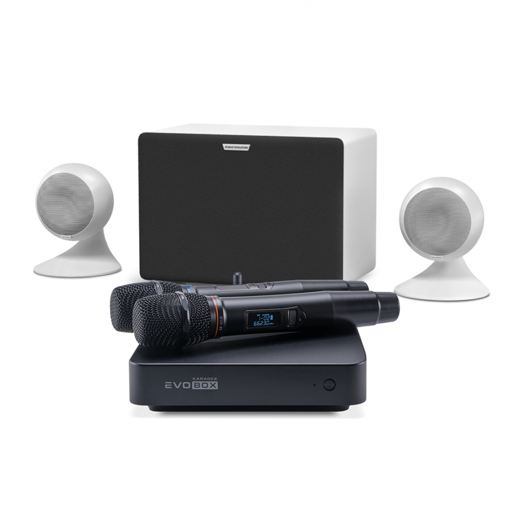 караоке-комплект EVOBOX Classic + EvoSound Sphere 2.1 в Волжске